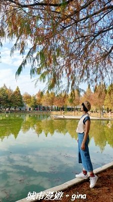 【南投名間】欣美創意園區~落羽松2968340