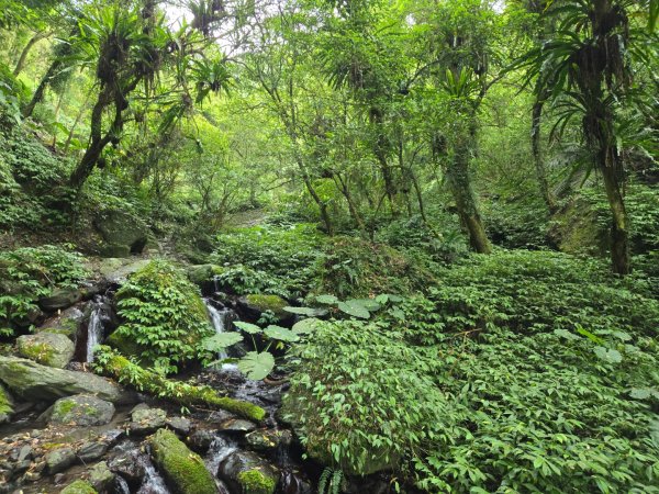 聖母登山步道（抹茶山）、三角崙山（小百岳）2774106