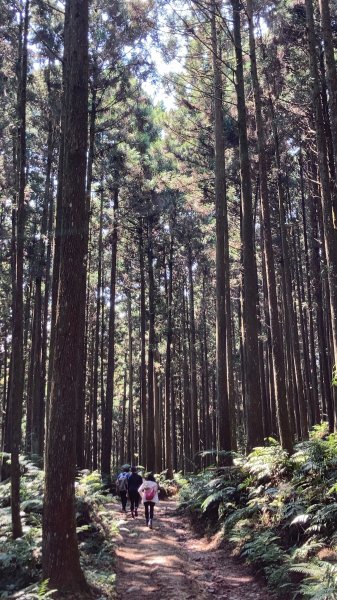 111.9.18新竹-鵝公髻山步道2246812