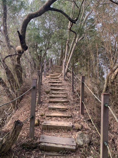 台中潭子聚興山環O林牛山一圈（小百岳）2126370