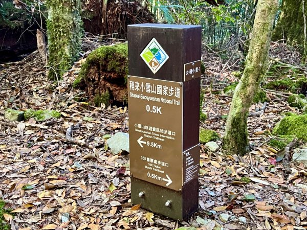 船型山環走大雪山210林道2978019