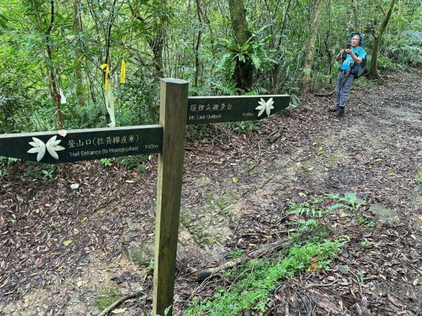 烏窟子山、獵貍尖山、黃櫸皮寮山、翡翠之眼O走2809863