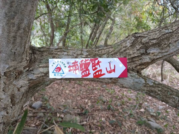 20240128台中太平東南坑山、埔鹽藍山(三葉山)2412378