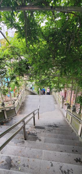 2024-05-18梨子腳山步道2507962