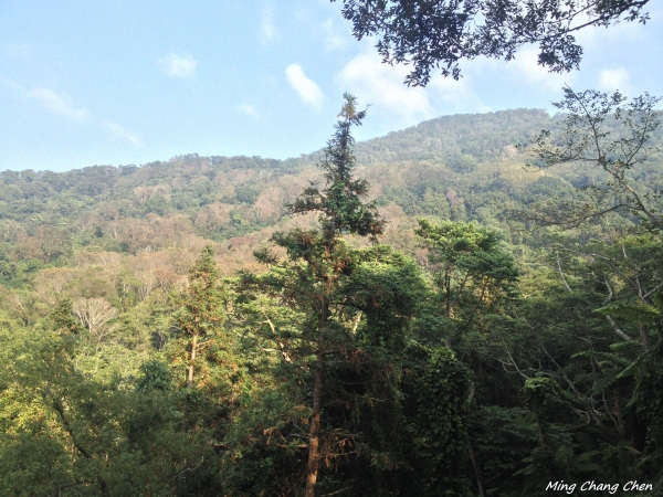 【山岳之美】~馬那邦山5747
