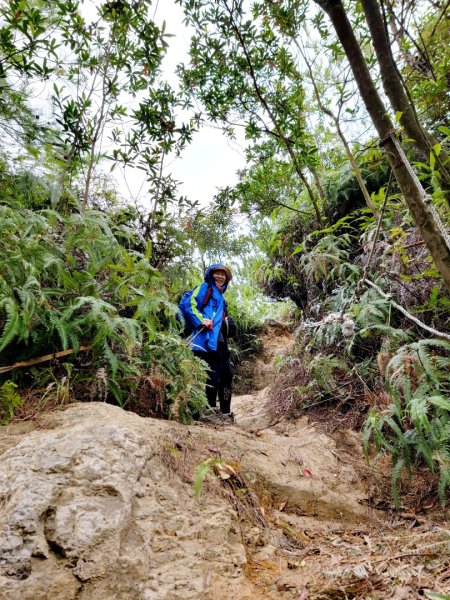 大砲岩-石壇山-八頭山-湯守岩-丹鳳山-202412222859782