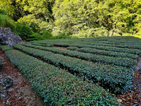 枋山坑古道(淡蘭中路)-新北市坪林區2882704