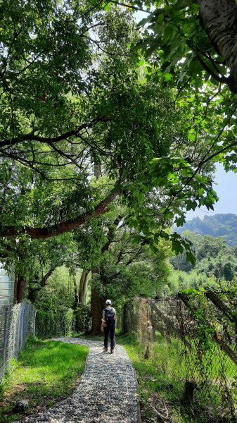 《台中》貓仔坑｜后里鳳凰山觀音山步道O繞202305282164566