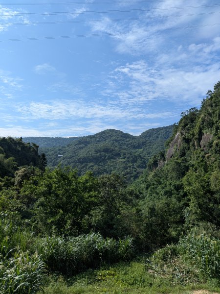 2025-06-01 五進五出九五峰2804162