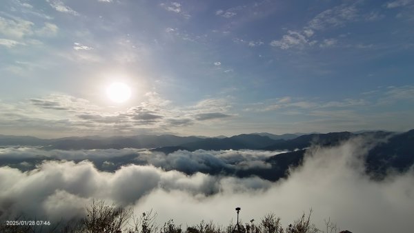 除夕寒流來襲的翡翠水庫雲海&天元宮寒櫻1/282700704