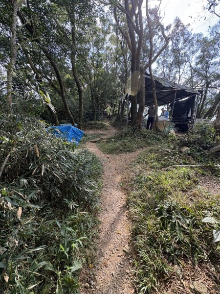 20251207笠頂山登山步道(第一登山口)2957660