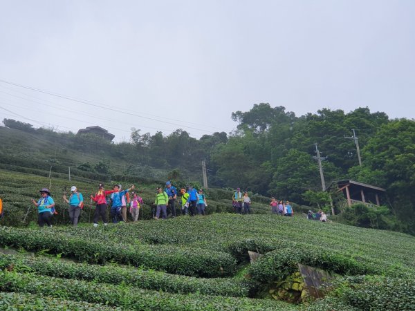 【雲嘉】後棟山連走大二尖山1478481