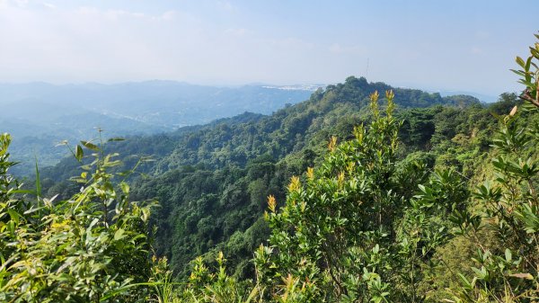 郡大山，郡大山北峰，望鄉山，白冷山，頭嵙山，黑山北峰，大坑4號，大坑3號，挑水古道，快官健行步道2299305