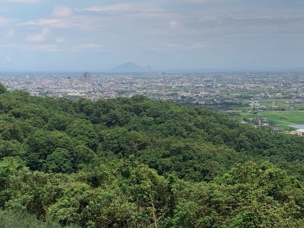 ~  中 山 茶 園 步 道  ~2580976