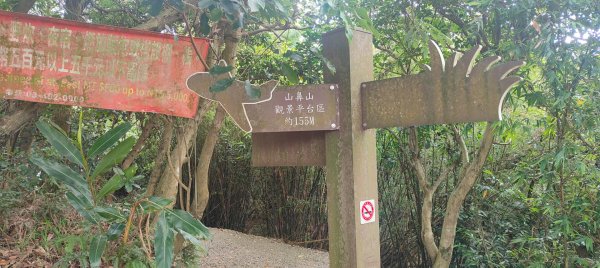 五酒桶山步道2789565