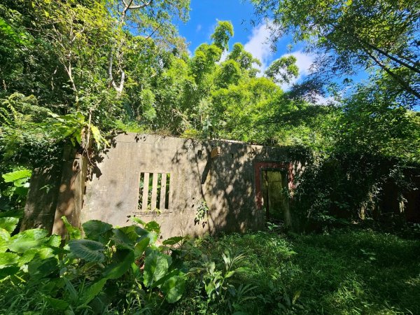 頭城坪溪古道2970976