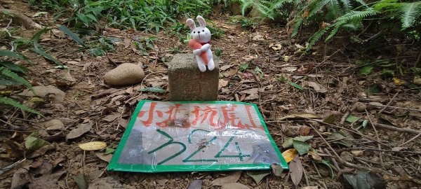 2025/08/17_三和晨光+石崎+背西步道O型2861584