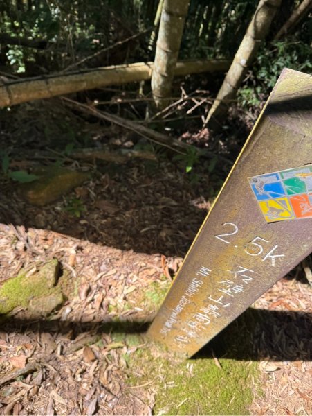 九穹神木 左訪嘉南雲峰 右到好望角看風景上石壁山(小百岳#55)2944850