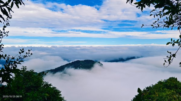 #馬那邦山 #琉璃光 #日出 #雲海 #山羌 #楓葉 10/25 & 11/12924617
