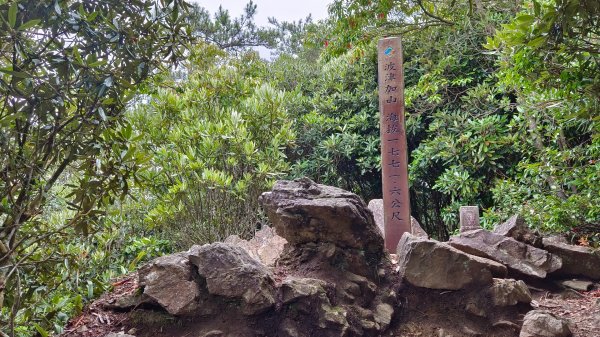 波津加山之鎮山犬1757397