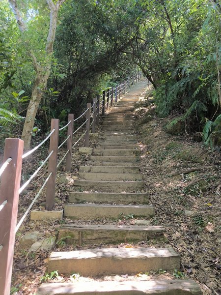 20250917微笑山線：【二格山系】和美山螢火蟲段2888891