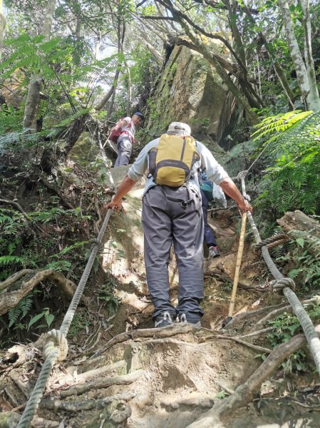 猴山岳萬壽路登山口-猴山岳-林家草厝-猴山岳山腰路-泰元農場 踽踽獨行2720828