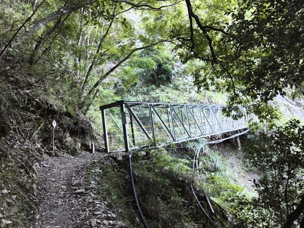 [玉山尋寶任務-07/12] 2025_0824 八通關雲龍瀑布步道2870521