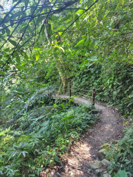 唐麻丹山 蝴蝶谷2918971