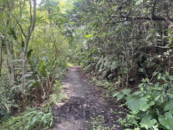 [皮皮獅Hike客任務-05/10] 2024_0721 石硬子古道(石峎古道)2557521