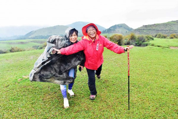 20201114陽明山擎天崗步道1179110