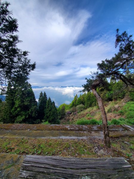 郡大碰碰車952493