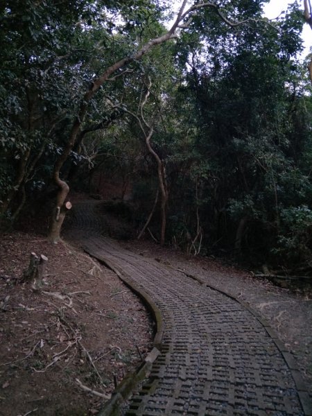 社頂生態保護區1343654