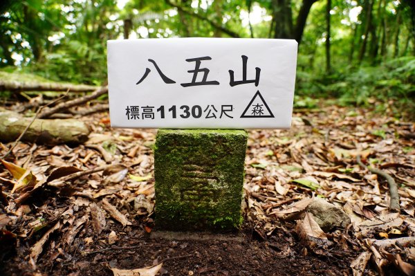 新竹 尖石 八五山、李崠山、鳥嘴下山3060739