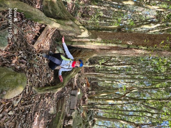 【谷關七雄】屋我尾山(H1796m)＆屋我尾山北峰(H1784m)熱身行2670246