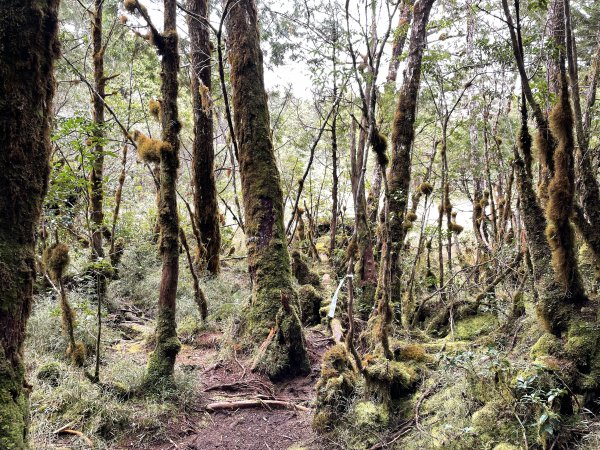 魔幻森林三星山與三星池1658315