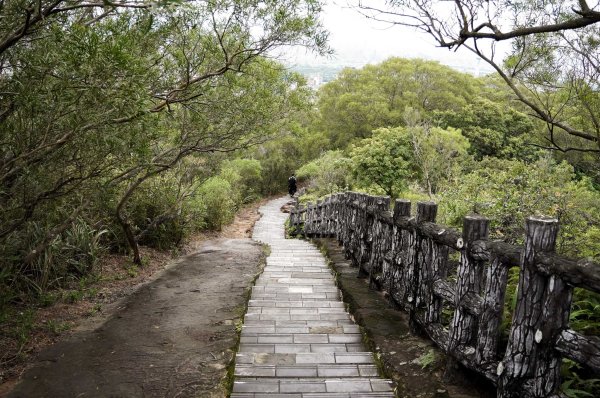 軍艦岩＋丹鳳山親山步道2623226