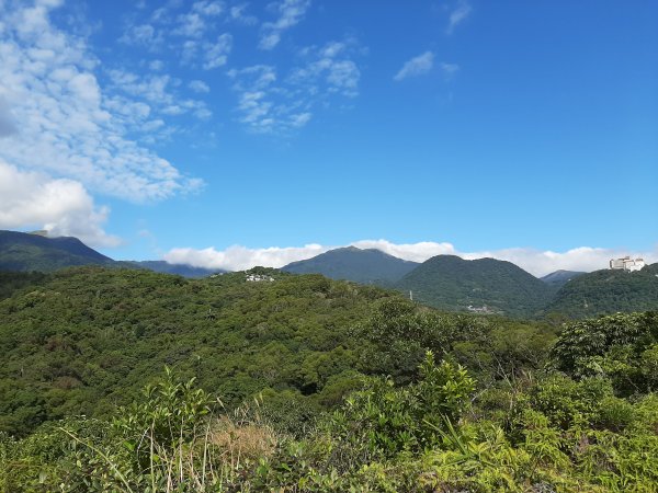 尋找山中鐵達尼、山形猶如鳳之丹鳯山753193