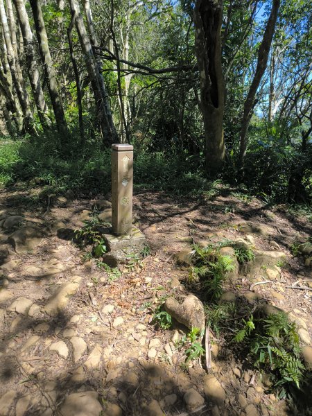 20251004微笑山線：【二格山系】筆架連峰段2904513