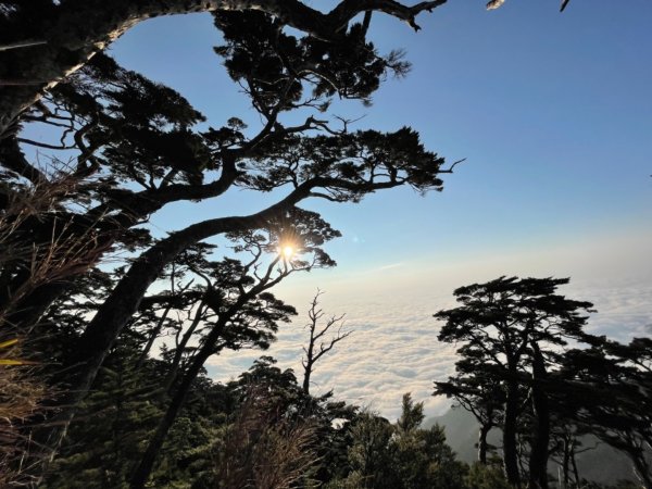 見證最美麗北大武山雲海、鐵杉1318869