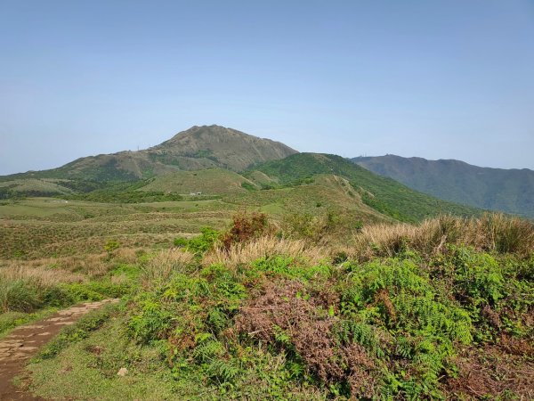 ［走遍陽明山］頂山石梯嶺步道+坪頂古圳2186455