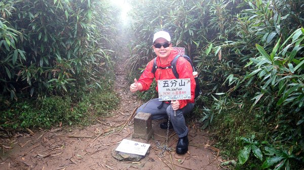 基隆聖稜線-陡不停的五四大縱走2787852