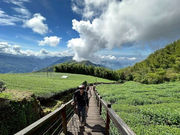 20251029石棹茶、霧、雲、霞、櫻、愛之道 樂野山 霹靂山2926614