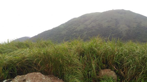大屯山西峰後, 緊接著大屯山南峰174710