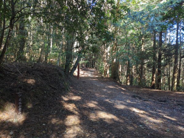 2025.12.06－北坑山步道&雪見遊憩區2956246