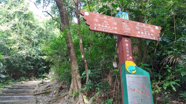 鯉魚山+忠勇山+大崙頭尾山+圓覺寺步道519512