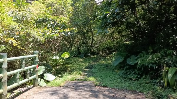 瑞芳區長興宮-粗坑口步道-觀音堂步道-碇內尖-長興宮O型3079019