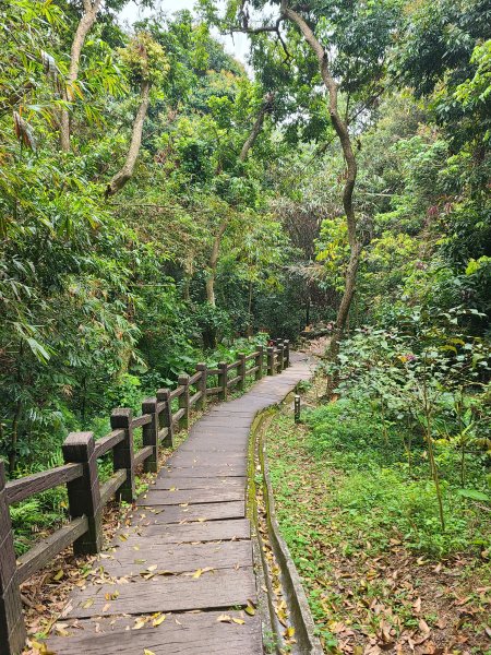 大坑6號上+8號探路+7號下2771425