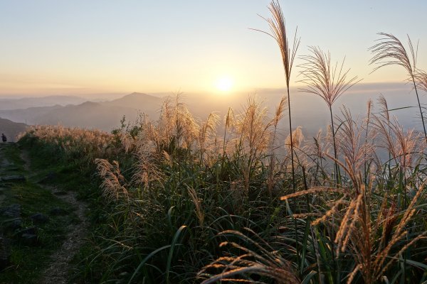 秋陽、金芒、基隆山464514