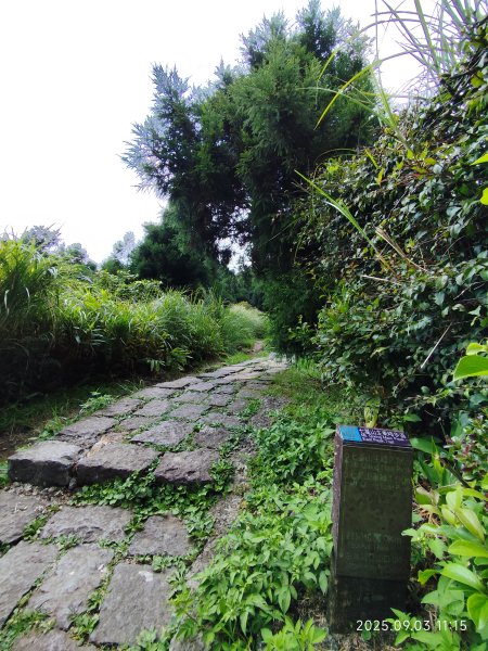 【臺北大縱走 2、3、4】冷水坑→七星山主東峰步道→冷擎步道→小油坑→鵝尾山→內湖許願步道2878884