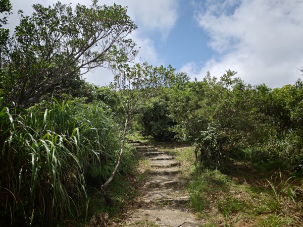 [淡蘭古道] 2026_0531 北路第一段_樹梅坪古道3070653